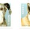 NORVEGIA 2020, Fauna - CAINI, serie neuzata, MNH