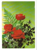 CPIB 18501 FELICITARE - TRANDAFIR ROSU, URSS, 1990