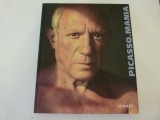 Picasso mania