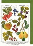Felicitare British Native Fruits | The Art File