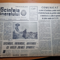 scanteia tineretului 28 iulie 1963-cheile bicazului,orasul medias