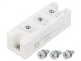 Modul Diodă Dublă 600V 300A