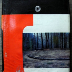 DICTIONAR DE ISTORIE VECHE A ROMANIEI ( PALEOLITIC - SEC. X ) , volum editat de D. M. PIPPIDI , 1976