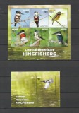 NEVIS 2015 FAUNA PASARI KINGFISHER