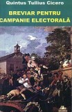 Breviar Pentru Campanie Electorala - Marcus Tullius Cicero