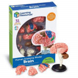 Macheta creierul uman, Learning Resources