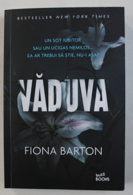 VADUVA de FIONA BARTON , 2016 foto