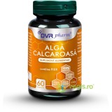 Alga Calcaroasa 60cps