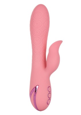 Vibrator Rabbit CalExotics Pasadena Player, Roz Corai foto