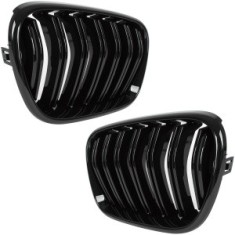 Grile Duble BMW X3 F25 2010-2014