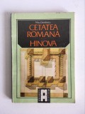 D- Cetatea romana Hinova, Misu Davidescu ,