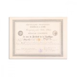 Arabella Davila, Medalia de Onoare, 1921