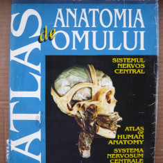 RANGA / DIMITRIU - ATLAS DE ANATOMIA OMULUI (sistemul nervos central) - 1993