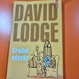 CRUDUL ADEVAR - DAVID LODGE
