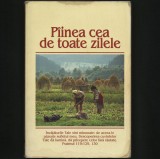 Cumpara ieftin P&Acirc;INEA / P&Icirc;INEA CEA DE TOATE ZILELE