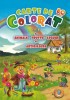 Carte de colorat Jumbo A4 80 pagini - Animale, fructe, legume si abtibilduri