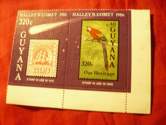 Bloc Guyana 1986 - Cosmos - Cometa Halley
