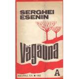 Serghei Esenin - Vagauna si alte scrieri in proza - 138393