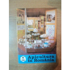 REVISTA APICULTURA IN ROMANIA , NR. 6 , IUNIE 1980