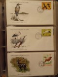 FAUNA WWF - 3 PLICURI PRIMA ZI
