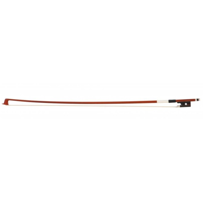 Arcus vioara 1 2 HORA Scoala import