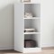 vidaXL Dulap, alb, 48x41x102 cm, lemn prelucrat 840828