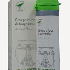 GINKGO BILOBA&MAGNEZIU 60CPS