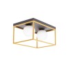 Lustra Luma 2XE27 IP20, negru+auriu, Erste