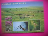 HOPCT 8353 FLINT HILLS-KANSAS -SUA-AMERICA DE NORD -NECIRCULATA-
