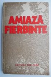 Amiaza fierbinte. Proza bulgara - Roman | Carte beletristica