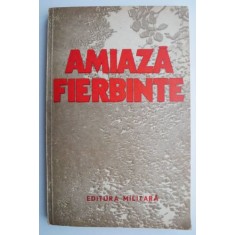 Amiaza fierbinte. Proza bulgara