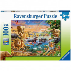 Puzzle Izvor In Jungla, 100 Piese foto