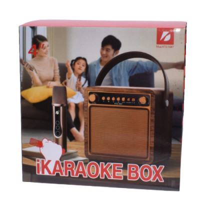 Boxa portabila karaoke ,Bluetooth ,radio Fm ,10W ,Acumulator 3.7v, microfon, foto