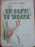 UN PUMN DE TARANA - EVELYN WAUGH