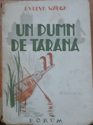 UN PUMN DE TARANA - EVELYN WAUGH foto