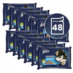 FELIX Fantastic pliculețe cu somon și plătică în gelatină 48 x 85 g