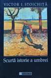 Cumpara ieftin Scurta istoriei a umbrei - 2000 - Victor Ieronim Stoichita ($T398)