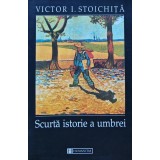 Scurta istoriei a umbrei - 2000 - Victor Ieronim Stoichita ($T398)