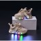 Adidasi crem cu luminite - Seika (Marime Disponibila: Marimea 21)
