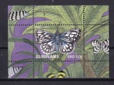 SURINAM 2020 FAUNA INSECTE FLUTURI