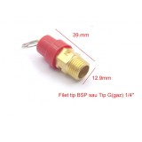 Supapă de siguranță pentru compresor de 1/4 &quot; 8-12bar NR.572