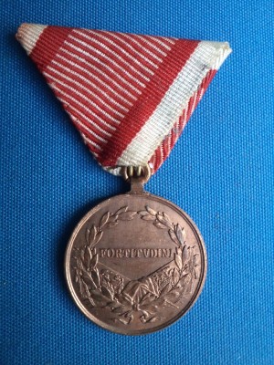 FORTITUDINI PENTRU SPRIJINUL ARMATEI AUSTROUNGARE IN RAZBOI 1914-1918/SOLDATI-AUSTRIA foto