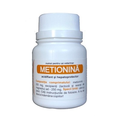 Metionina, 100 comprimate foto