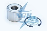 Kit Rulment Roata Spate 46889 NGH 01.02.084