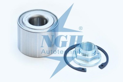 Kit Rulment Roata Spate 46889 NGH 01.02.084 foto
