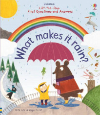 What makes it rain - Usborne book (3+) foto