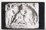 bnk cp Muzeul regional de arheologie Constanta - Legenda regelui Mithras doborand taurul - necirculata