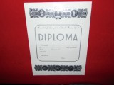 DIPLOMA CONSILIUL JUDETEAN PENTRU EDUCATIE FIZICA SI SPORT-NECOMPLETATA 30/23CM