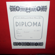 DIPLOMA CONSILIUL JUDETEAN PENTRU EDUCATIE FIZICA SI SPORT-NECOMPLETATA 30/23CM