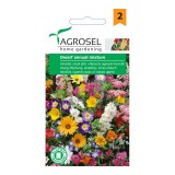 Seminte flori Agrosel, mix anual pitic